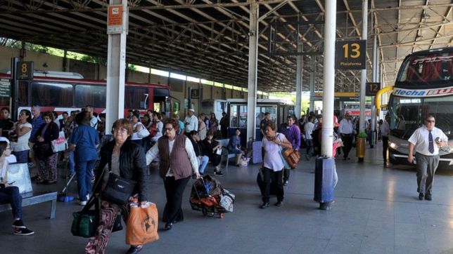 sera obligatorio usar el cinturon para poder viajar en micro