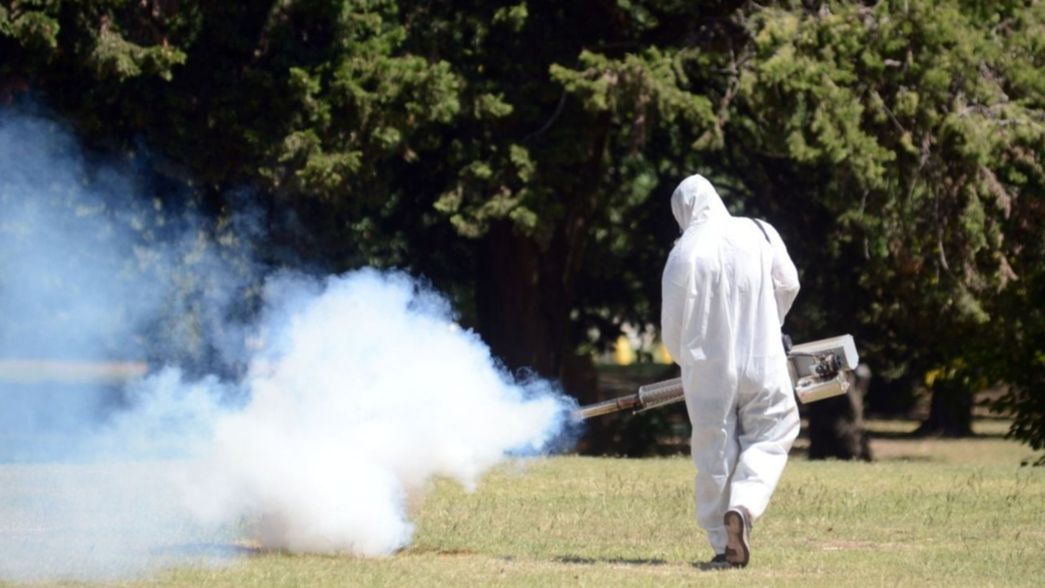 Se elevaron a 96 los casos de dengue en La Plata