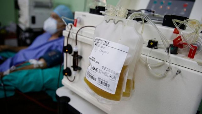 un estudio de 12 hospitales argentinos puso en duda la eficacia del plasma