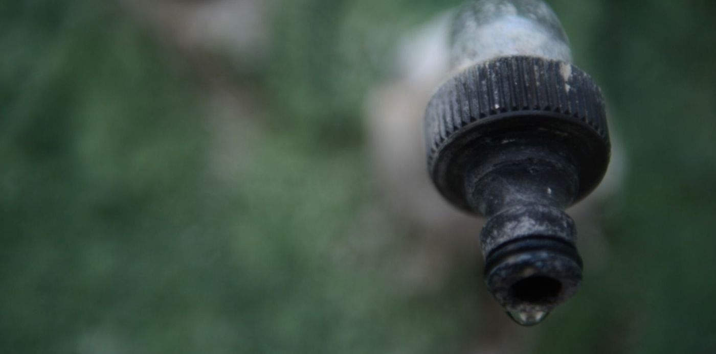 1580776083484.jpg?x=14&y=212&width=1462&height=731&rotate=0&scaleX=1&scaleY=1&ow=1500&oh=996&&cw=1920&ch=950