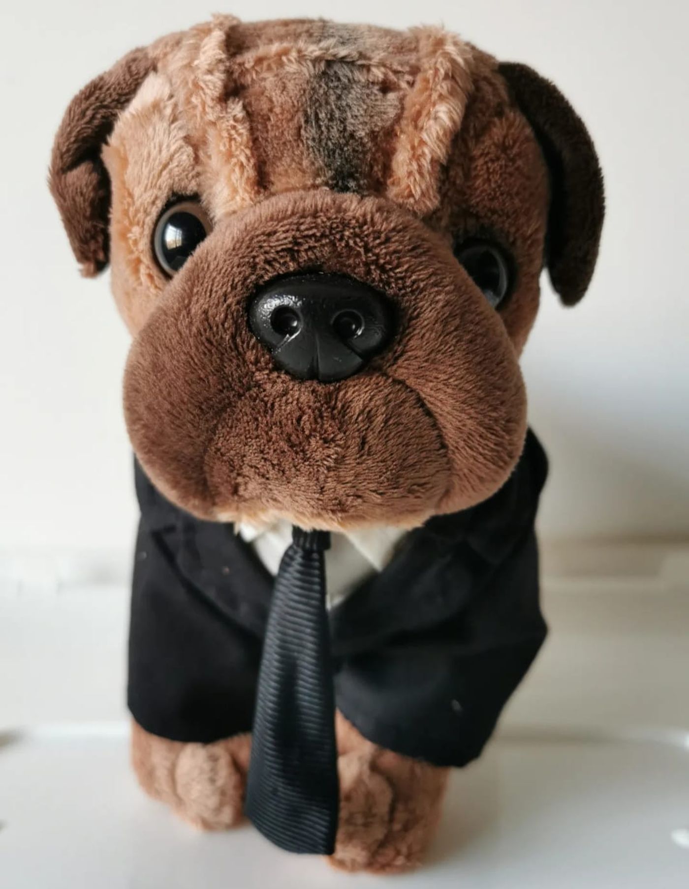 Una familia de La Plata busca desesperadamente el peluche perdido de Gabriel, un perrito de 