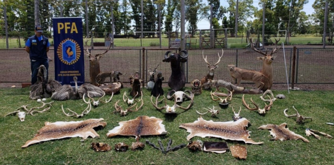 1544736237946.jpg?rotate=0&x=5&y=83&width=1259&ow=1280&oh=720&height=630&scaleX=1&scaleY=1&&cw=1920&ch=950