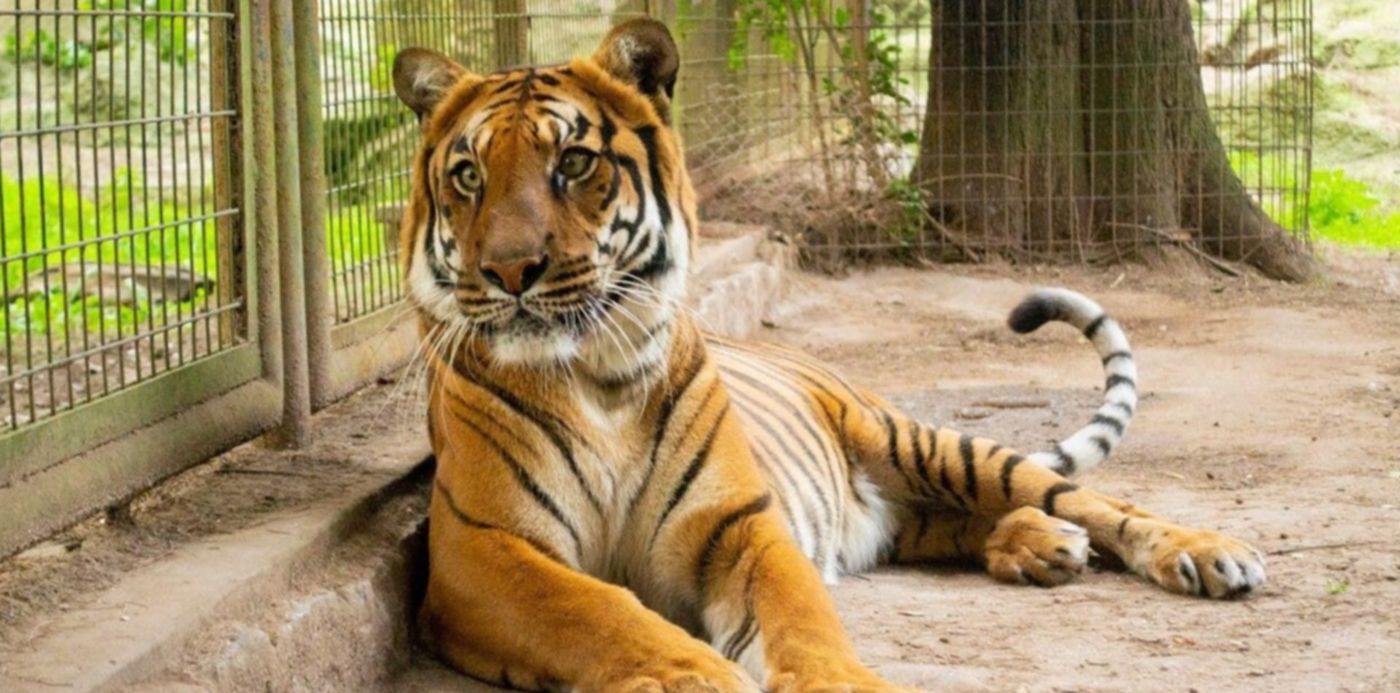 1576187357241.jpg?x=15&y=111&scaleX=1&ow=1280&oh=853&width=1257&height=629&rotate=0&scaleY=1&&cw=1920&ch=950