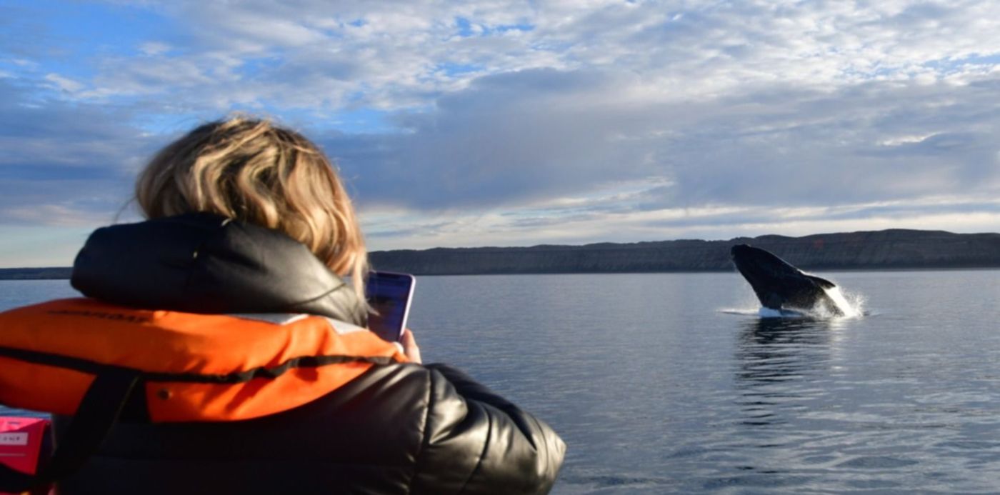 1626907148243.jpg?&cw=1920&ch=950