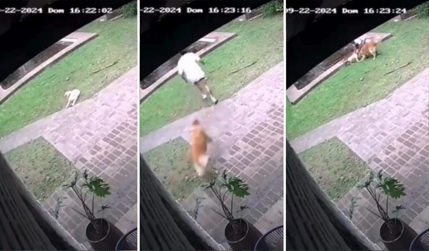 Diseño sin título - 2024-09-25T080607.408.png