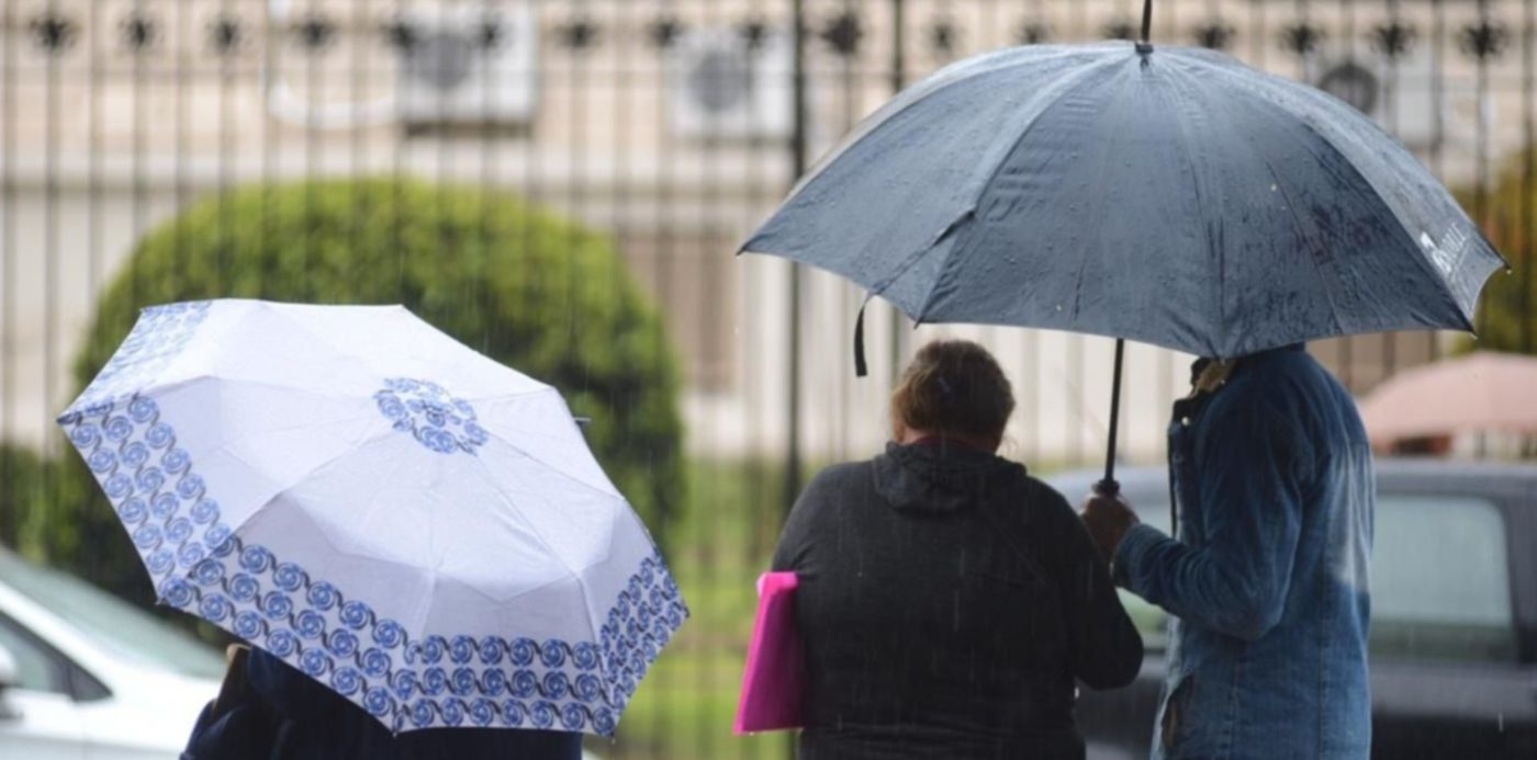 1568076408317.jpeg?width=1269&scaleY=1&ow=1280&x=6&y=102&scaleX=1&oh=918&height=634&rotate=0&&cw=1920&ch=950