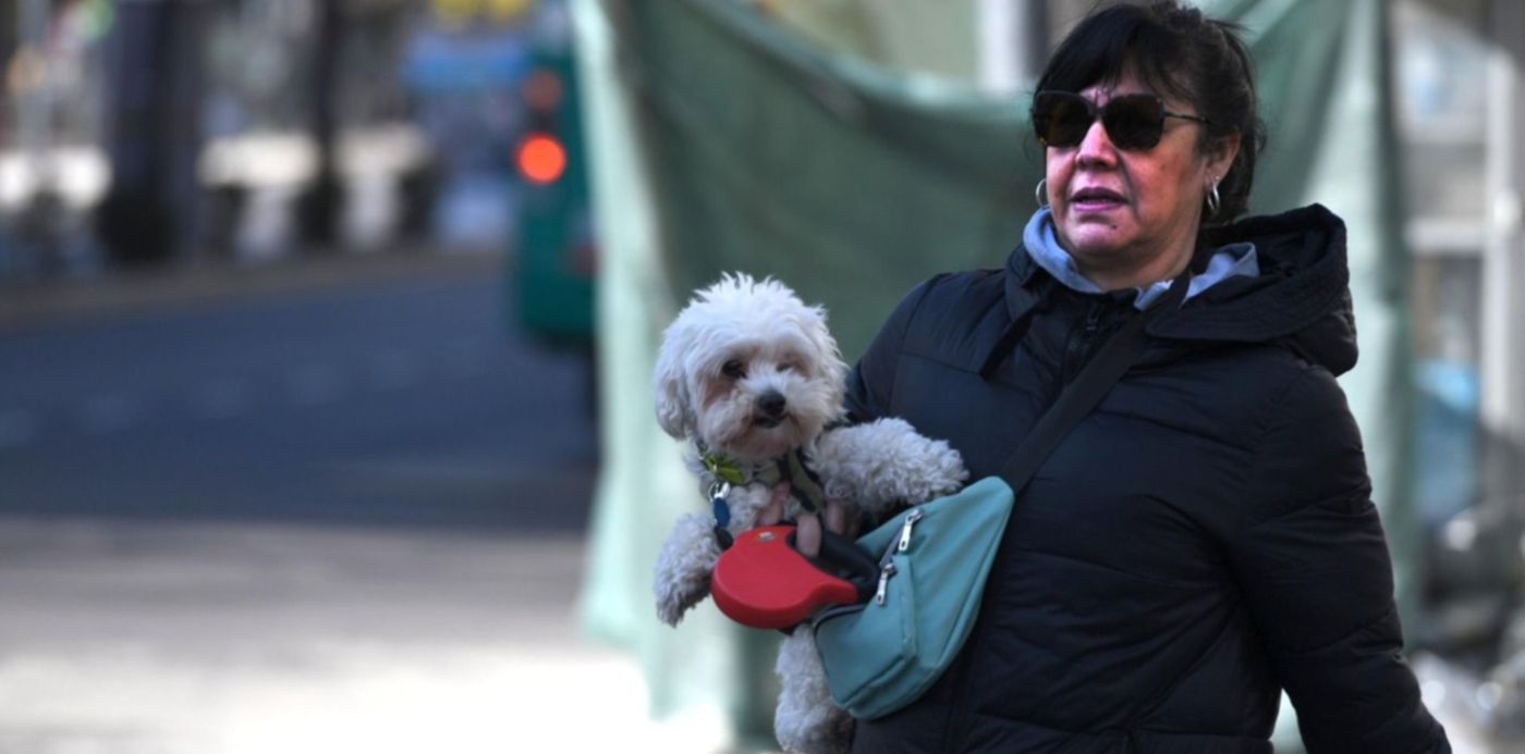 1689691157260.jpg?x=3&y=88&width=1494&height=747&rotate=0&scaleX=1&scaleY=1&ow=1500&oh=1130&&cw=1920&ch=950