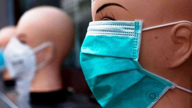 aprobaron la venta de los superbarbijos de larga duracion desarrollados por el conicet