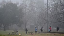 lanzan una advertencia por nieblas en la plata y vuelven las lluvias: ¿cuando llegan y como seguira el clima? lanzan una advertencia por nieblas en la plata y vuelven las lluvias: ¿cuando llegan y como seguira el clima?