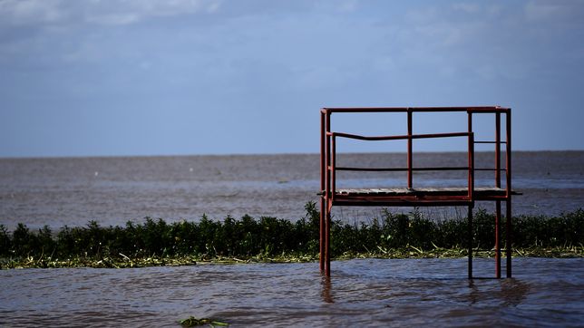 un hombre entro a nadar al rio de la plata y murio ahogado