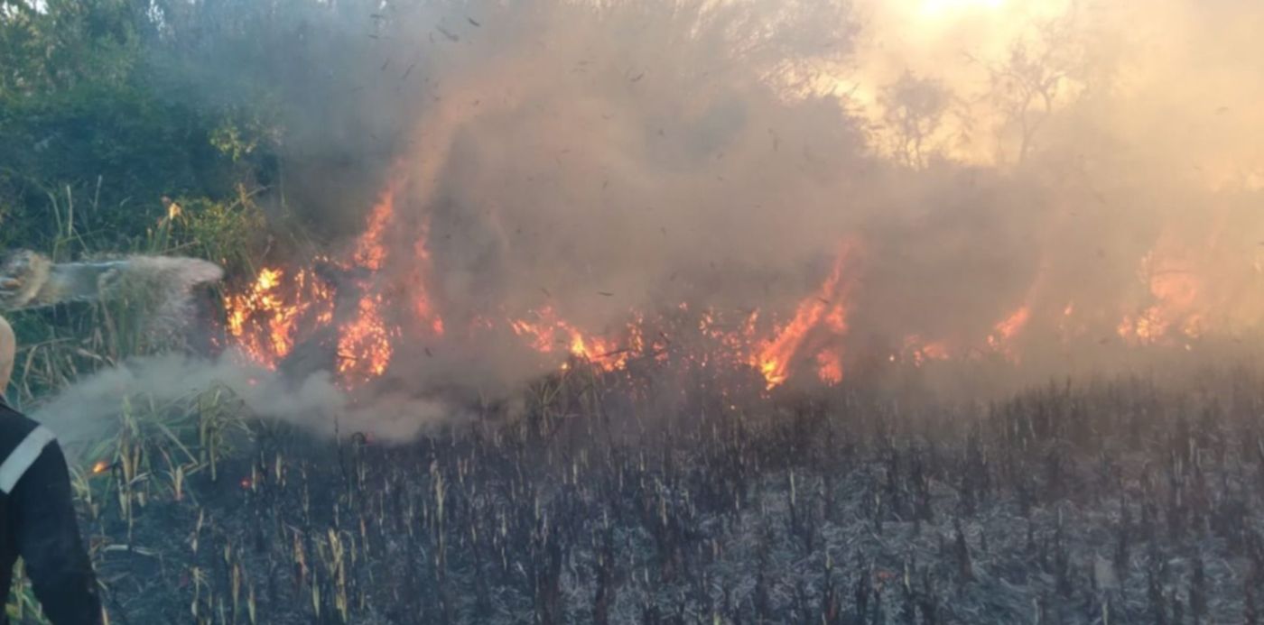Incendio en la Reserva de Punta Lara