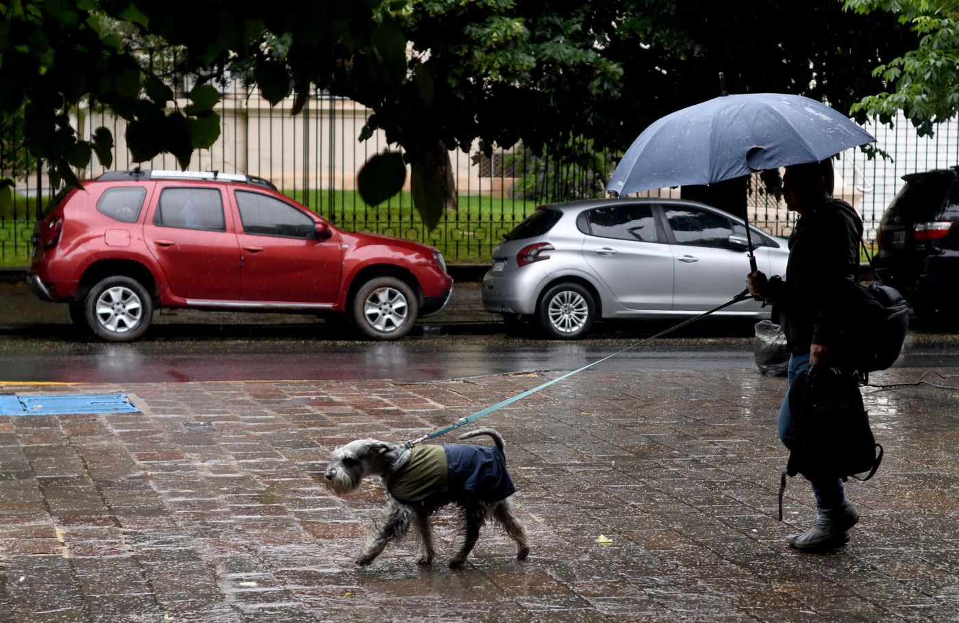 Clima Lluvia (5).JPG