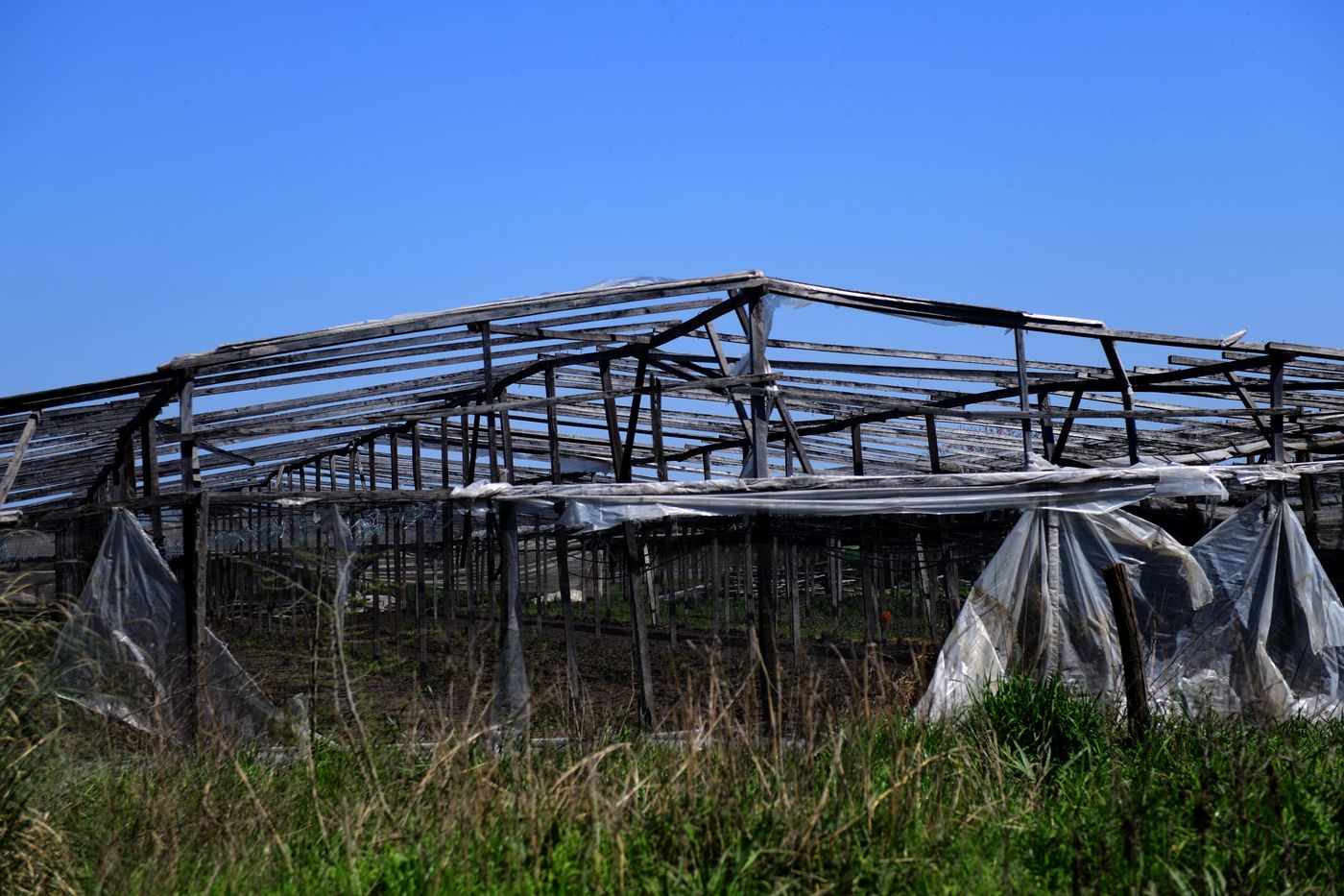 Cordón hortícola invernáculos invernaderos (12).JPG