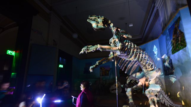 la plata vuelve a ser sede de una nueva edicion de museos a la luz de la luna