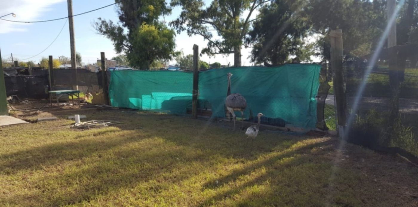 1526937538104.jpg?&cw=1920&ch=950