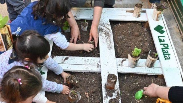 el programa huerta en casa sigue creciendo y llega a las viviendas de hernandez