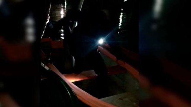 video: asi fue el dramatico rescate de un chico que se ahogaba en el lago del bosque