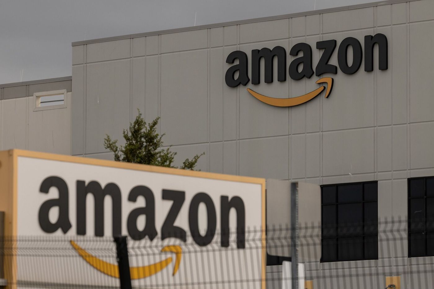Amazon