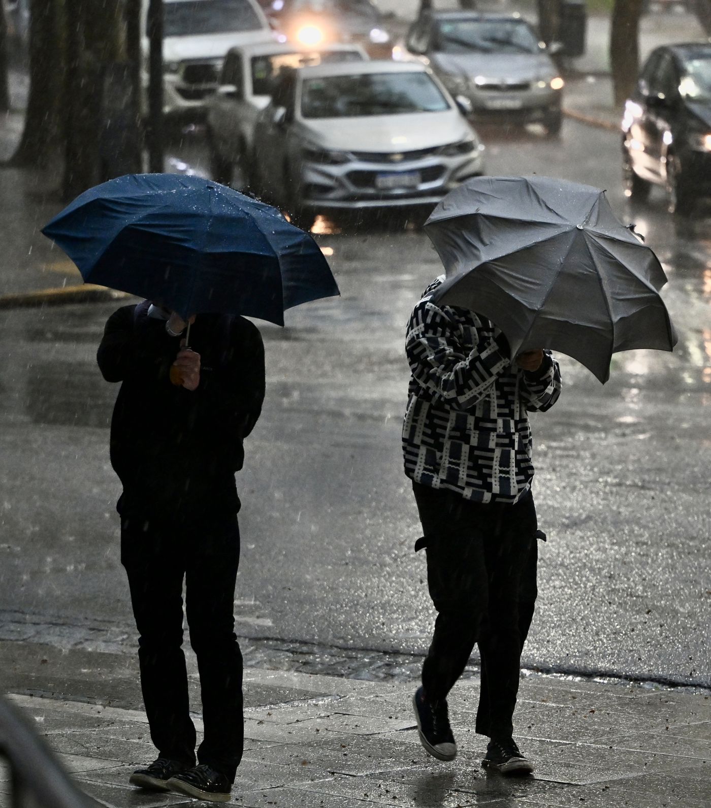 Una intensa lluvia se desató en La Plata durante la mañana del viernes y se extenderá al menos hasta el mediodía