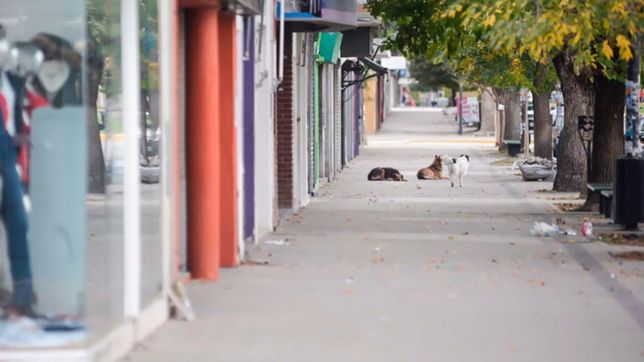 ¿como sera el funcionamiento de los servicios municipales durante semana santa en la plata?