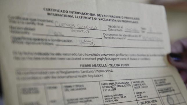 lugares, horarios y turnos: todo para vacunarse contra la fiebre amarilla en la plata