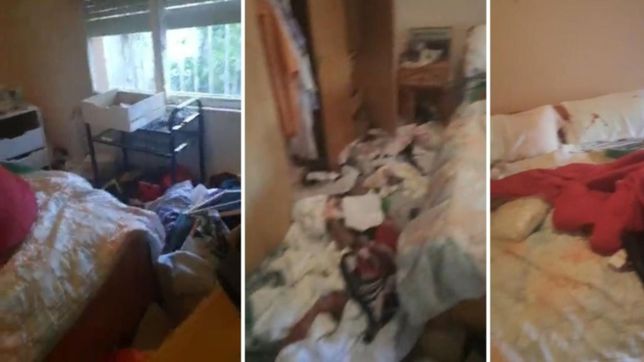 golpes y cortes con una trincheta en un violento robo a una pareja de abuelos de la plata