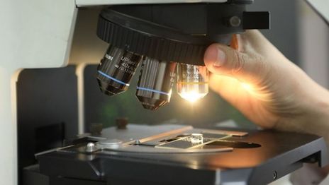 La UNLP recibirá 260 millones de pesos para 58 proyectos de investigación seleccionados