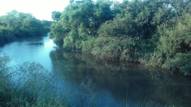especialistas analizaran el agua del arroyo de la plata donde aparecieron peces muertos