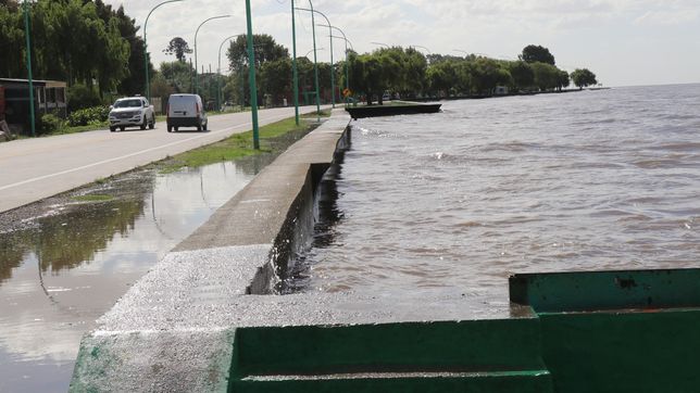 alerta en la region por una nueva crecida del rio de la plata