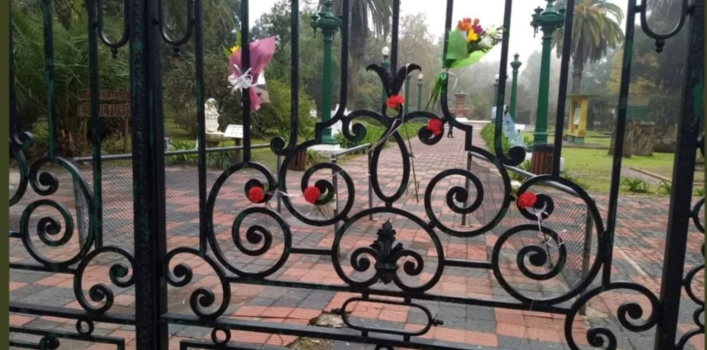 1528201362738.jpg?x=2&width=1153&rotate=0&scaleX=1&scaleY=1&ow=1170&y=120&height=576&oh=844&&cw=1920&ch=950