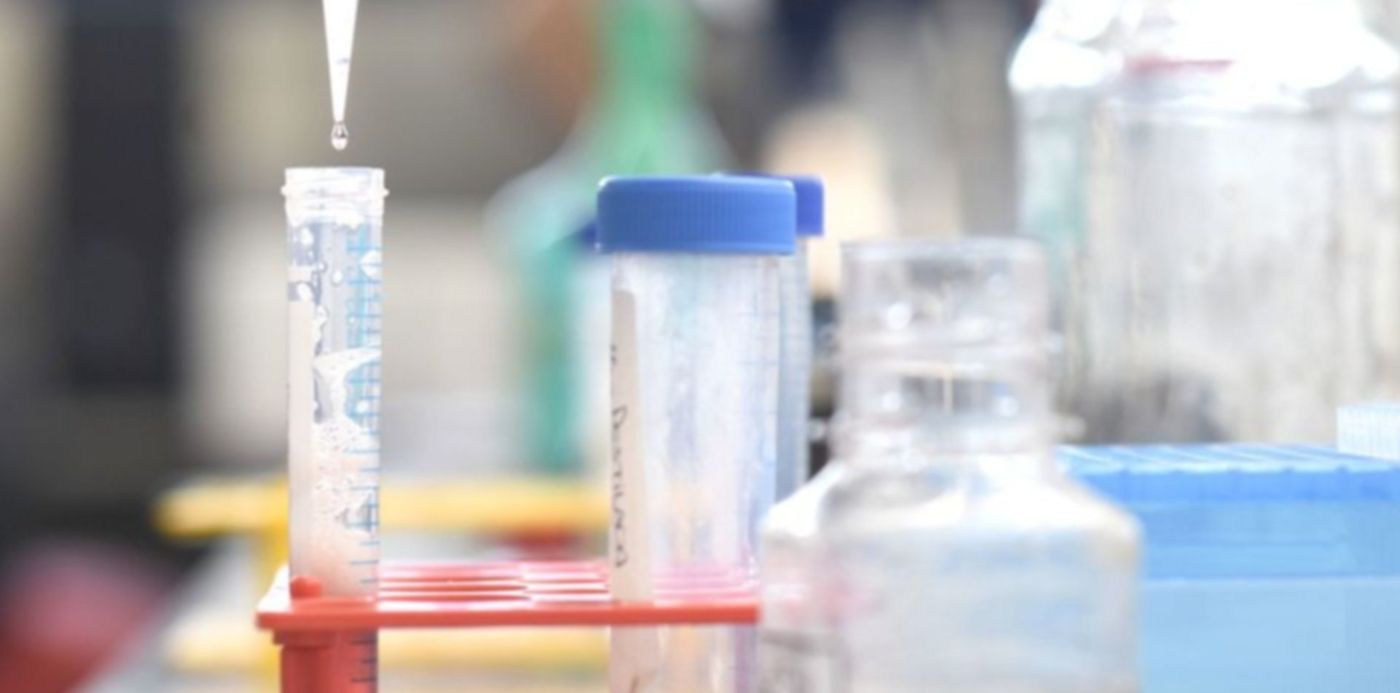 1627666519303.jpg?x=9&y=36&width=942&height=472&rotate=0&scaleX=1&scaleY=1&ow=960&oh=640&&cw=1920&ch=950