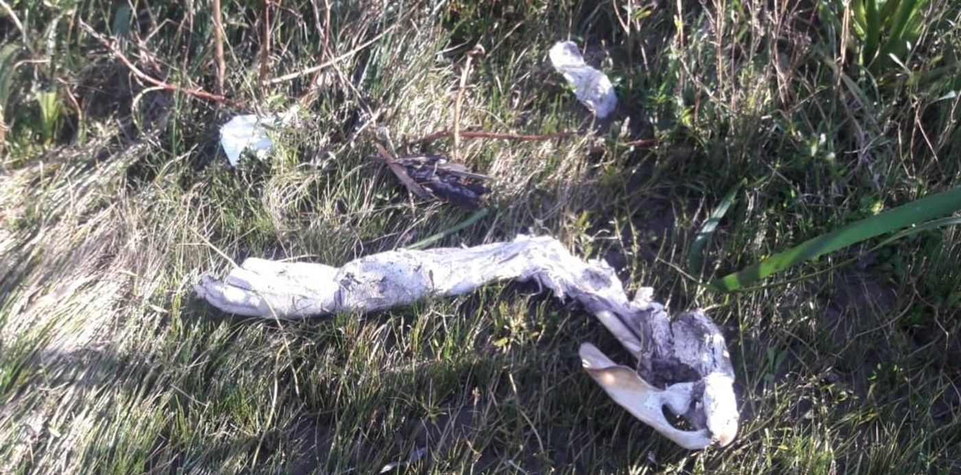 1533160589046.jpg?&cw=1920&ch=950