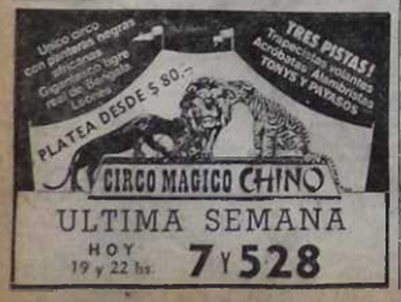 El Circo Mágico Chino ofreció dos funciones aquel jueves en La Plata.