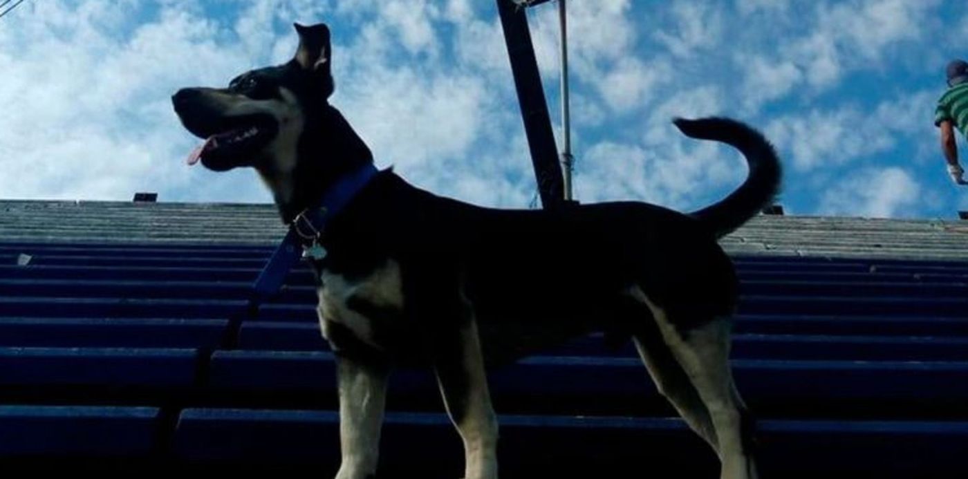 1629895147924.jpg?x=13&y=21&width=749&height=375&rotate=0&scaleX=1&scaleY=1&ow=768&oh=432&&cw=1920&ch=950