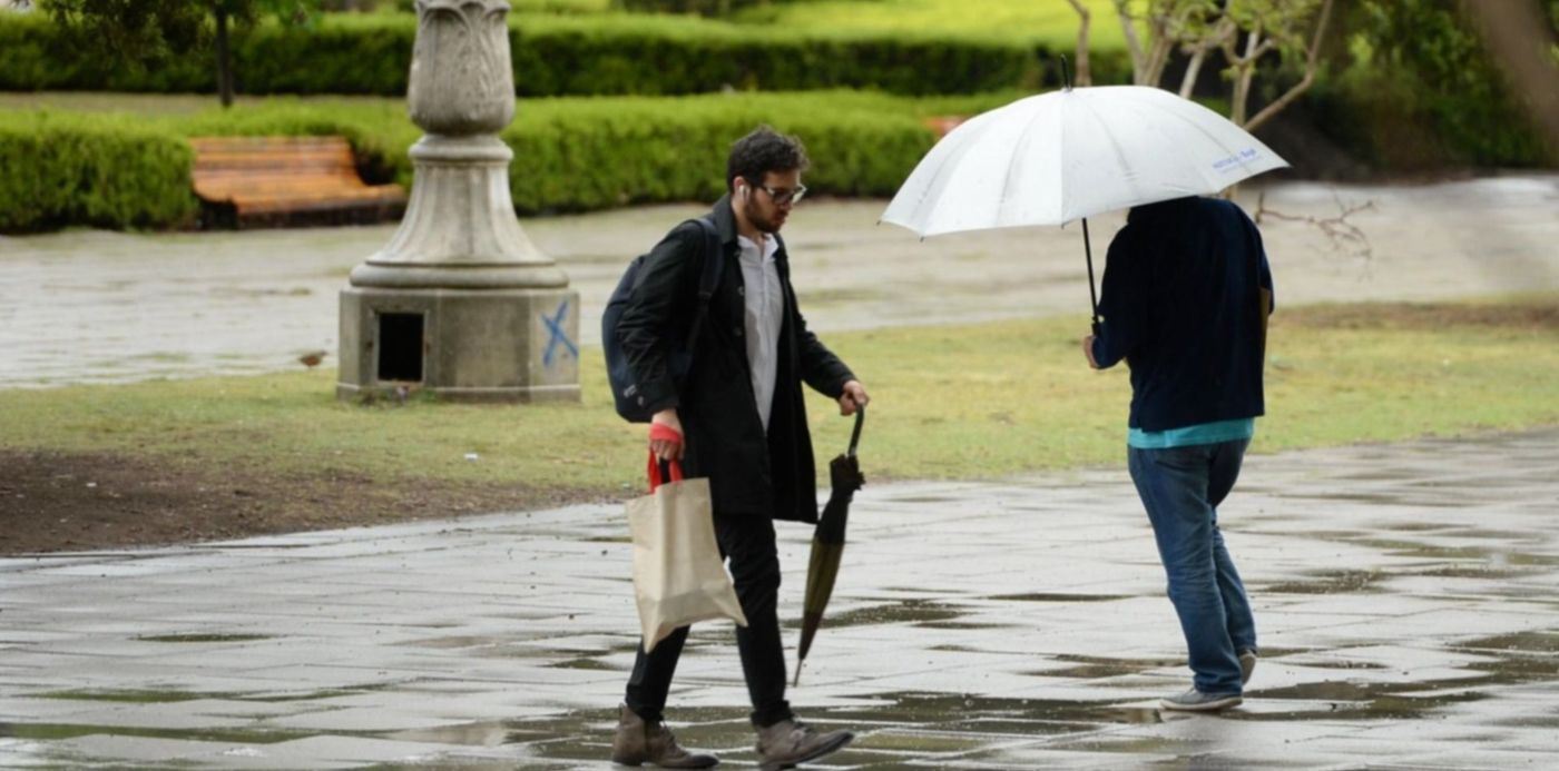 1667063947209.jpg?x=4&y=186&width=1492&height=745&rotate=0&scaleX=1&scaleY=1&ow=1500&oh=971&&cw=1920&ch=950