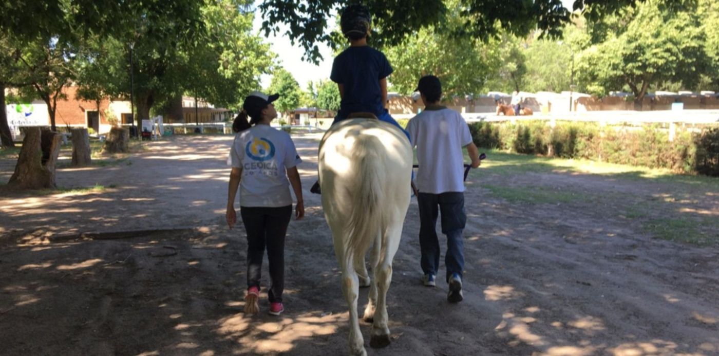 1573172289790.jpg?oh=1125&x=4&y=210&rotate=0&scaleY=1&ow=1500&width=1493&height=746&scaleX=1&&cw=1920&ch=950