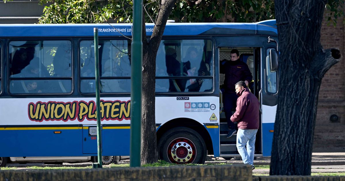 Posponen la adjudicación del nuevo sistema de micros en La Plata y ...