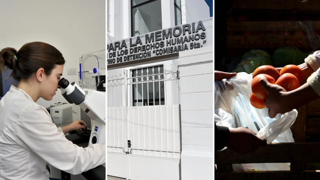 ciencia, comisaria quinta y economia popular: el destino de los millones que la unlp recibio de nacion