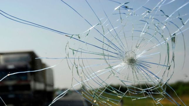 ataco a una policia con una cana de pescar y termino preso