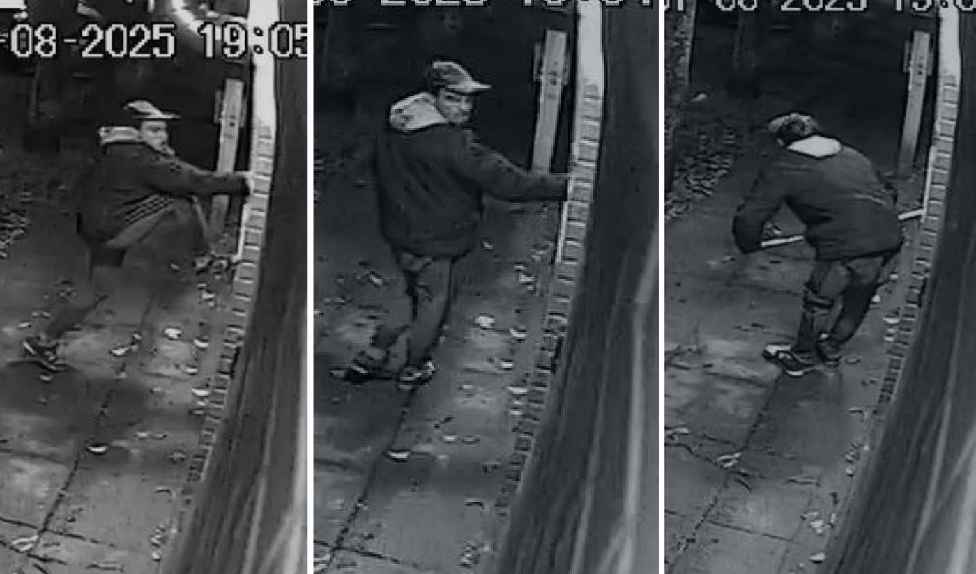 Robo en barrio jardín