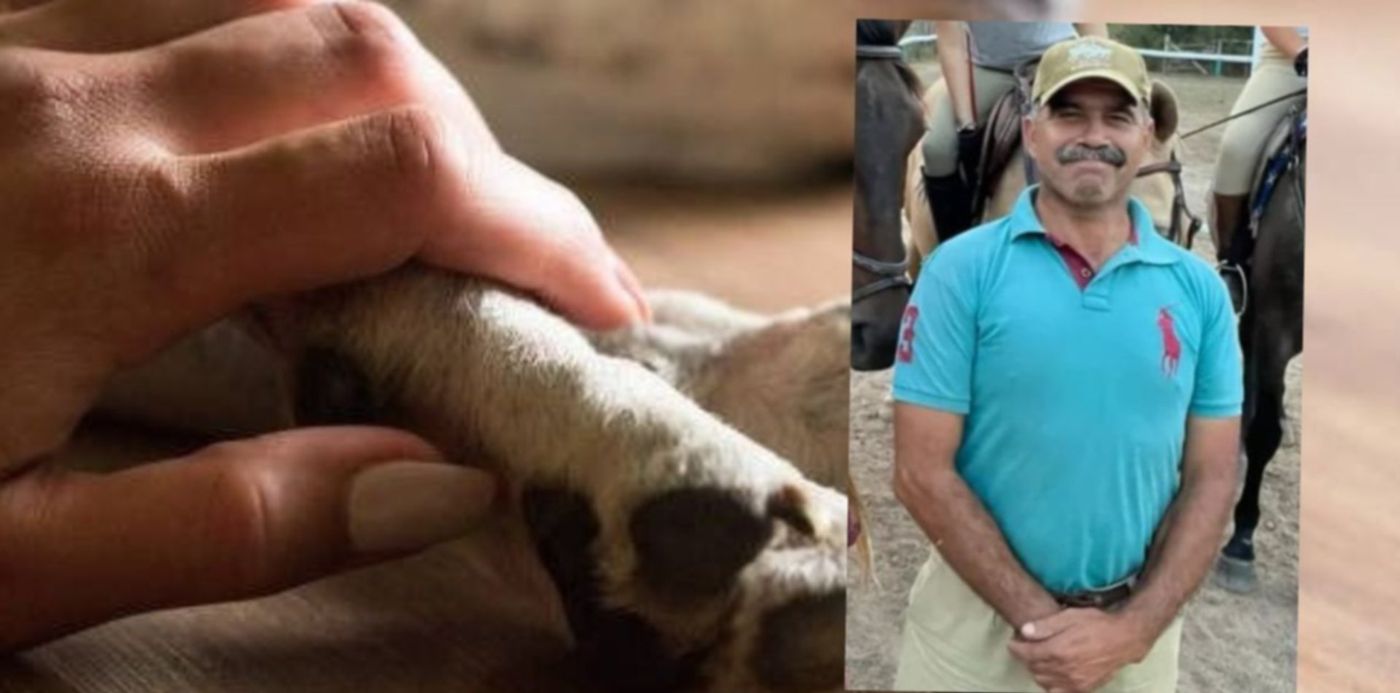 1685019240220.jpg?x=40&y=0&width=1270&height=635&rotate=0&scaleX=1&scaleY=1&ow=1350&oh=650&&cw=1920&ch=950