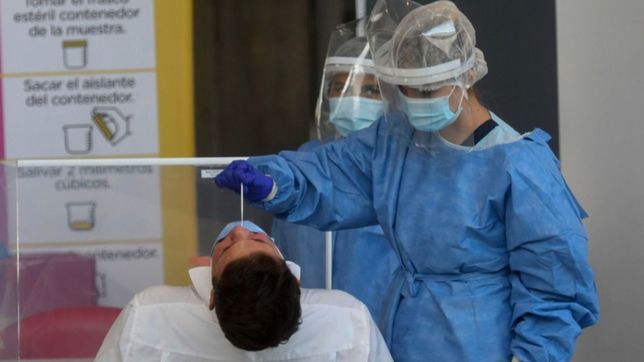 la plata sumo apenas 40 casos nuevos de coronavirus en 24 horas