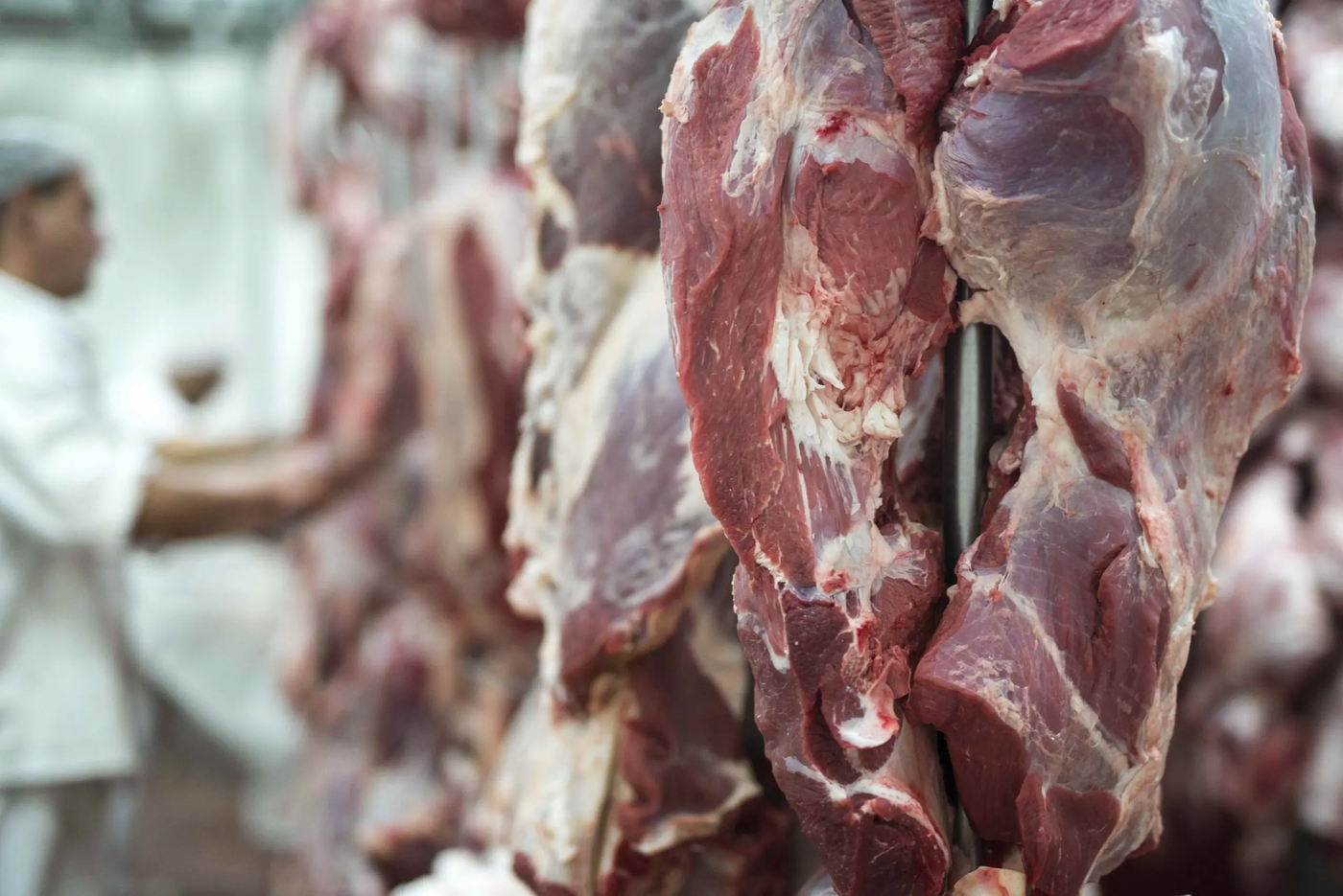 Carne bovina.jpeg