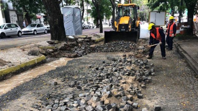 presentaron una cautelar para frenar el asfaltado de las calles adoquinadas de la plata