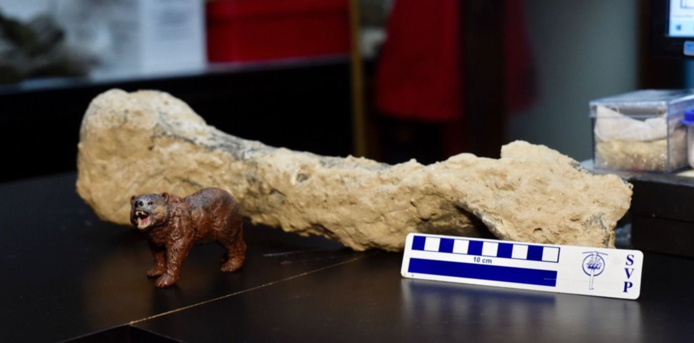 1569963794742.jpg?x=7&y=253&height=743&oh=996&width=1486&rotate=0&scaleX=1&scaleY=1&ow=1500&&cw=1920&ch=950