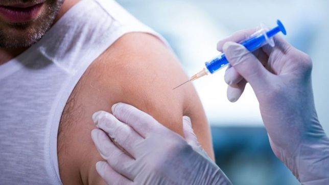 confirmaron cuando estara lista la vacuna de oxford contra el coronavirus