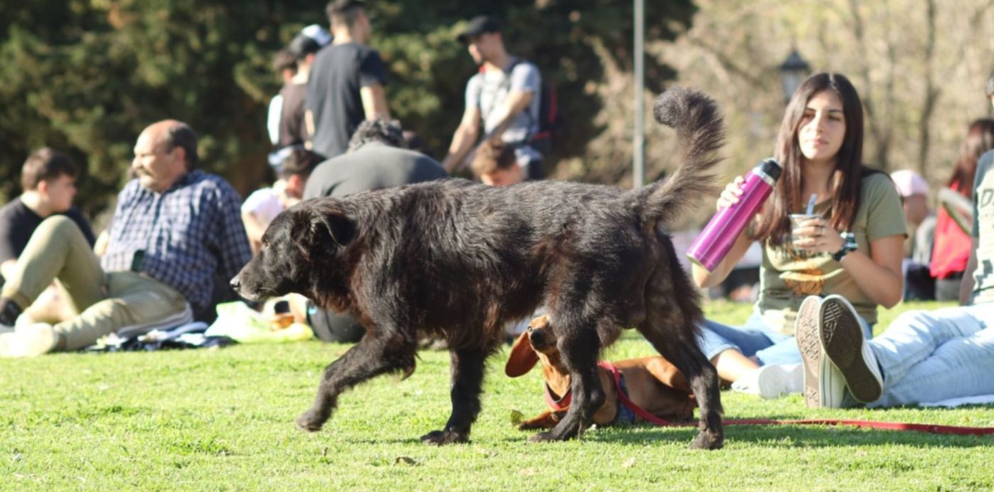 1632757333500.jpg?x=13&y=146&width=1490&height=745&rotate=0&scaleX=1&scaleY=1&ow=1500&oh=1000&&cw=1920&ch=950