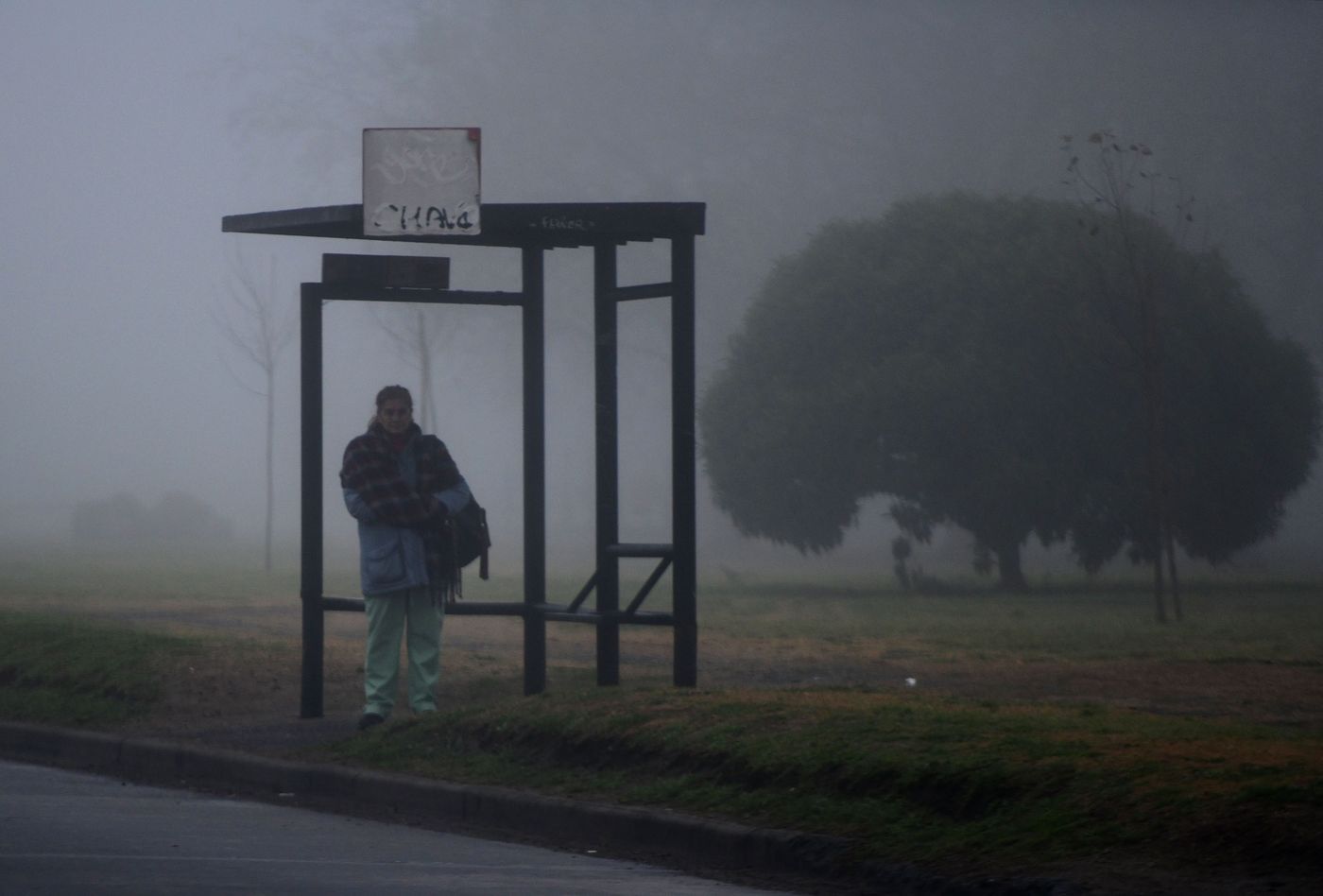 Niebla en La Plata (16)