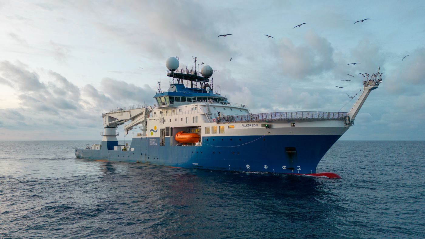 Buque Falkor (too)  Schmidt Ocean Institute