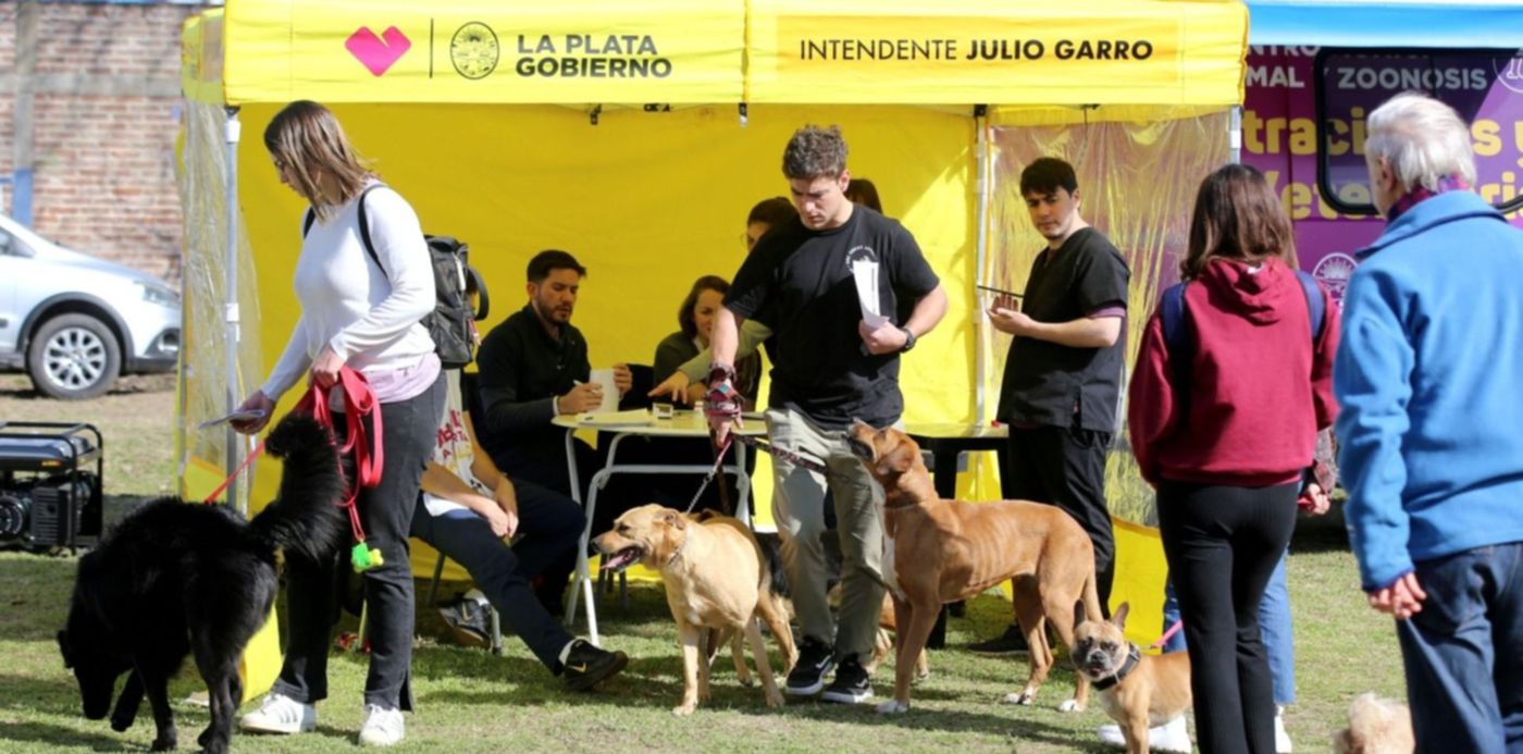 1680796981297.jpg?x= 5&y=90&width=1510&height=755&rotate=0&scaleX=1&scaleY=1&ow=1500&oh=991&&cw=1920&ch=950